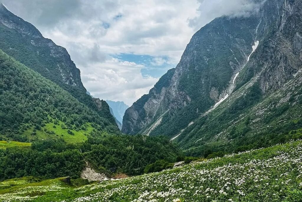 Valley Of Flowers