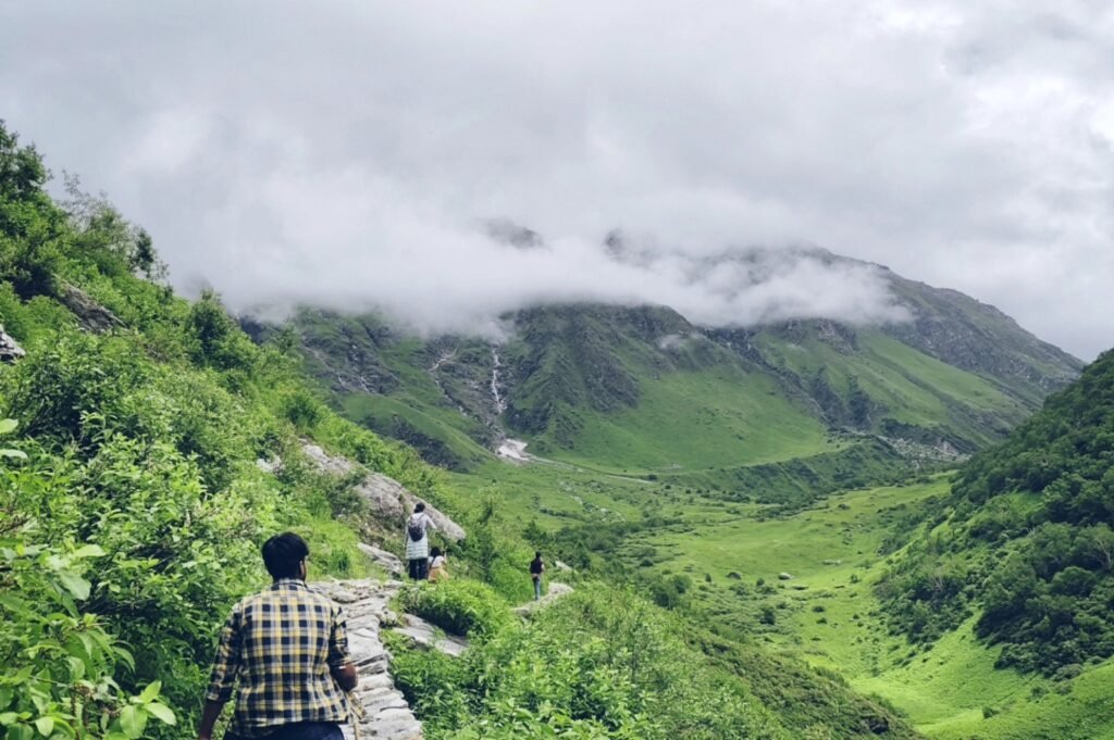 Valley Of Flowers